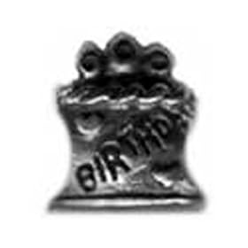 Birthday Cake Oriana Bead - Pandora Bead & Bracelet Compatible