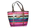 Coach Multi Color Stripe Tote 14009