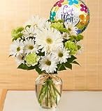 Flowers by 1800Flowers - Serene Green - Get Well - Small