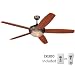 41c SNeDYEL. SL75  Sea Gull Lighting 1651 777 4 Light Ceiling Fan Light Kit, Copper Revival