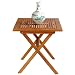 LNO79064 - Eucalyptus Outdoor (Indoor) Garden Folding Table - Solid FSC Hard Wood (Natural Color), 28 by 28 by 30-Inch