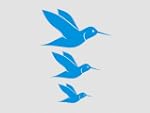 Wandbild Wandsticker Kolibri 3 St�ck