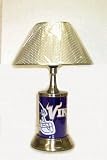 Minnesota Vikings Lamp