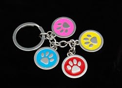 Four Paw Keychain