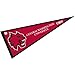 Central Washington Wildcats Pennant Full Size Felt