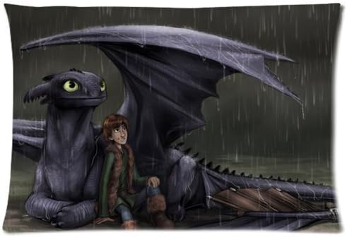 How to Train Your Dragon 20X30 Two Sides Custom Cotton &amp; Polyester Pillow Case Cover Cushion Cover Model: CHH-0315 (Build-to-Order)