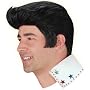 Elvis Wig