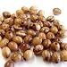 9x7mm Rosary Beads (60 beads) - Bethlehem Oval Olive wood