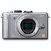 Panasonic Lumix DMC-GF1 12.1MP Micro Four-Thirds Interchangeable Lens Digital Camera (Silver Body)