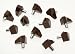 Woodstock D3148 Shelf Supports, Brown, 12-Pack