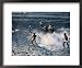 Children Playing Soccer Game in Street, Antofagasta, Chile Styles Framed Art Poster Print by Eric Wheater, 22x18
