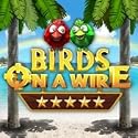 Birds On A Wire [Game Download]