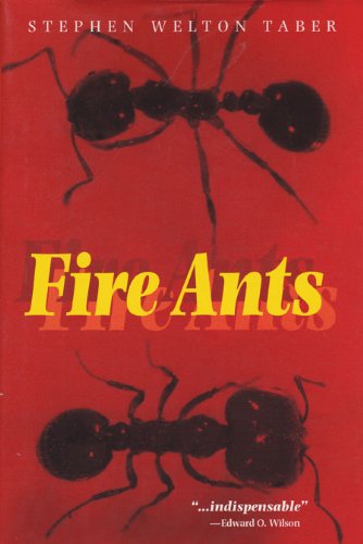 fire ants