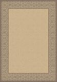 Outdoor Area Rug, Dynamic Rugs Piazza Collection Natural Brown