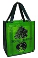 Earthwise Amazon Green Earthwise Grocery Shopping Bag
