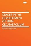 Stages in the Development of Sium Cicutaefolium