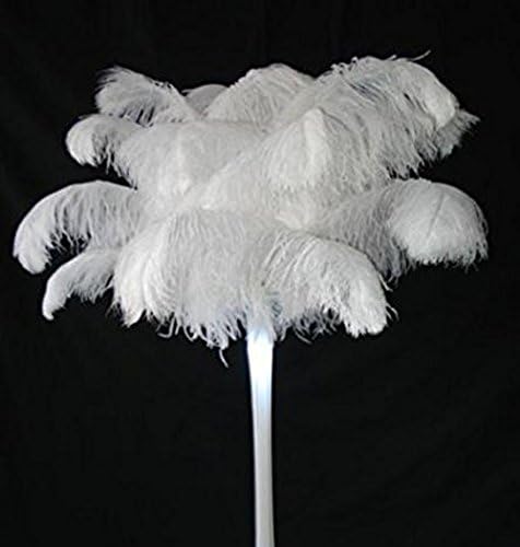 50 Piece 4" -6" , white , Ostrich Feather Premium Quality for Home Wedding Party Centerpiece Vase DIY Decoration