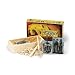 Egyptian Antique Dig Kit