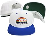 Denver Nuggets White/Blue Two Tone Snapback Adjustable Plastic Snap Back Hat / Cap