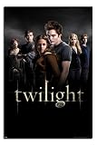 Twilight (Group) - Maxi Poster - 61 cm x 91.5 cm