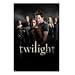 Twilight Movie