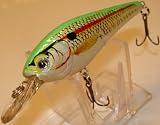 L 15 Shad Custom Lure Bass Fishing Plug Crankbait Shallow Diver 41c1B2UrEzL. SL160 L 15 Shad Custom Lure Bass Fishing Plug Crankbait Shallow Diver