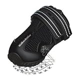 Pfotenschutz Hundeschuhe Walker Active 2 Stück Farbe schwarz GrÃ¶Ã?e: XL