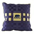 UC Berkeley - Square Pillow