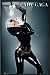 Lady Gaga - Framed Music Poster (Live On Stage / Leather Dress) (Size: 24" x 36")