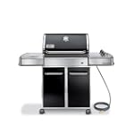 Weber 3851001