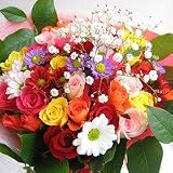�؂₩�ȃo���Ƒ��Ԃ̃u�[�P�y���ԁz�u�v�����Z�X�v