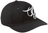 Dickies Mens
