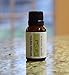 Dill Seed Essential Oil by Simply Earth - 15 ml, 100% Pure Therapeutic Grade