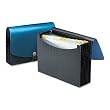 Expanding File, 13 Pockets, Poly, Letter, Black/Blue