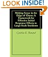 Making Sense in the Edge of Chaos: A Framework for Effective Initial Response Efforts to Large-Scale Incidents