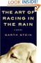 Art of Racing in the Rain