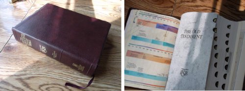 The International Inductive Study Bible: Niv Burgundy Gold Bonded Indexed