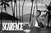 Scarface Palm Tress Bw by Unknown. Size 34.00 inches width by 22.00 inches height. High Quality Art Poster Print
