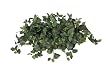 Artificial Pothos Ledge in Rattan