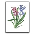 Bluebells - Gift Enclosure Cards (set of 12)
