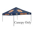 Auburn Tigers NCAA Color Canopy
