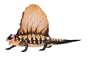 Carnegie Collection: Dimetrodon