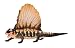 Dimetrodon