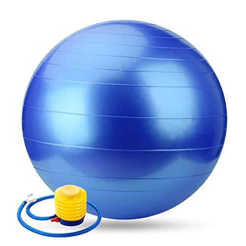 Osier Pure Resistant Fitness Ball Stability Yoga Ball Anti-Burst Swiss Ball Inflatable Balance Ball with Pump Osier Pure Resistant Fitness Ball Stability Yoga Ball Anti-Burst Swiss Ball Inflatable Balance Ball with Pump