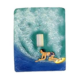 Switchplate Cover / Surfing 3