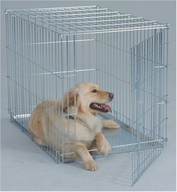 Value Line Dog Crate - Medium/Black