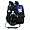 Northwestern Wildcats