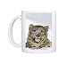 Snow Leopard - face and front paw, sitting in snow, some snow on face Photo Mugs