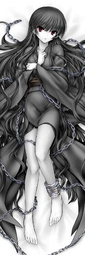 Cover image : 夢想灯籠 抱き枕カバー 各務