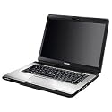 Toshiba Satellite Pro L300-21F Notebook (Pentium DC T3400 2.16GHz, 2GB, 160GB, DVDSM, 15.4 inch, Vista Home Premium)